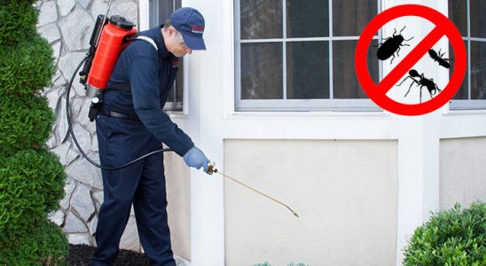 Adapazarı Bit İlaçlama böcek ilaçlama ve haşere kontrolü — ilaclama-tr.com